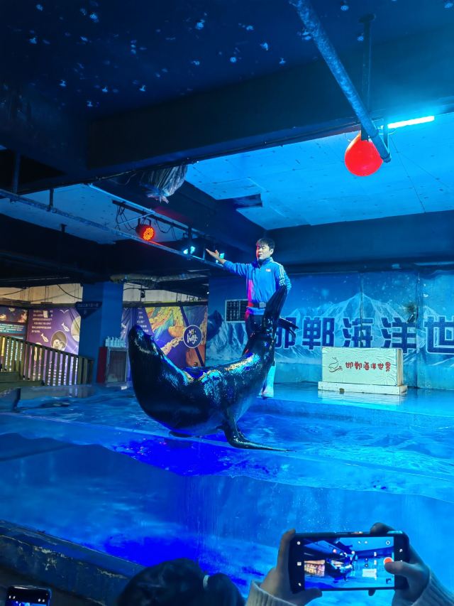 邯郸·海洋世界旅行图片 3