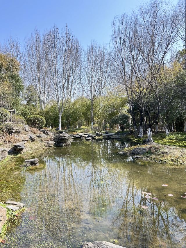 武汉园博园旅行图片 6