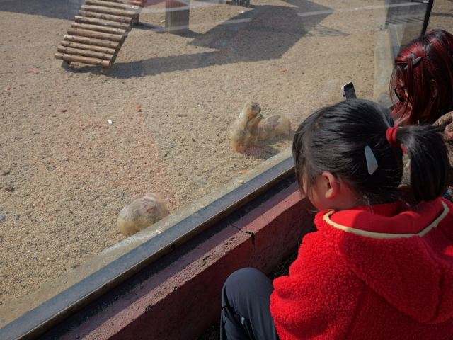 九江野生动物世界旅行图片 2