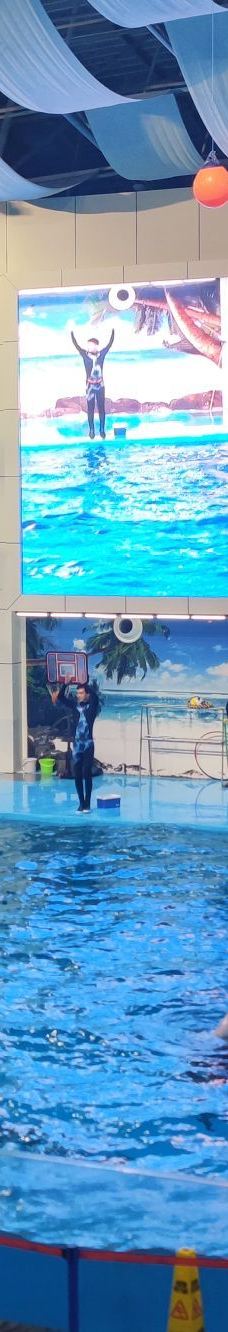 合肥海洋世界-合肥-XCJWZ