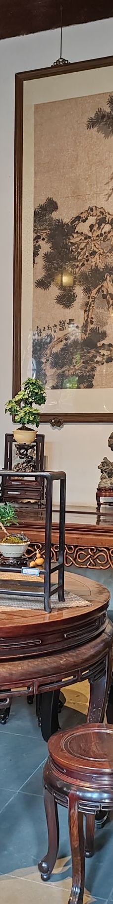 狮子林-苏州-YoYo_6C7E8T3F