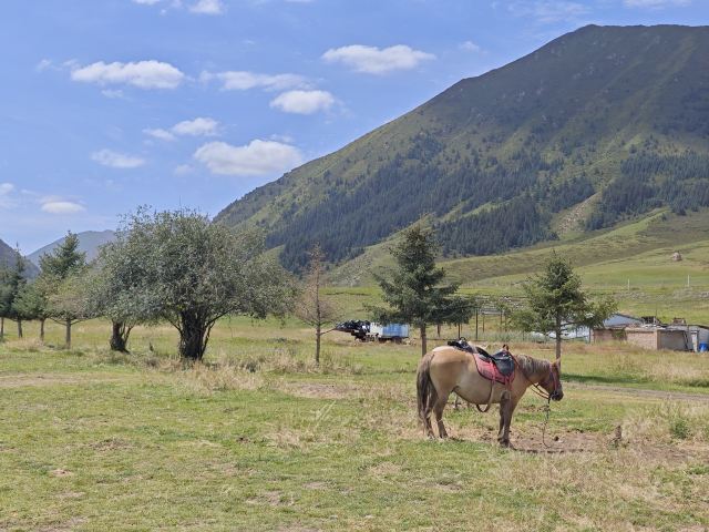 山丹皇家马场景区(暂停开放)旅行图片 3