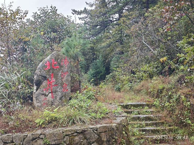 天岳幕阜山森林公园旅行图片 3