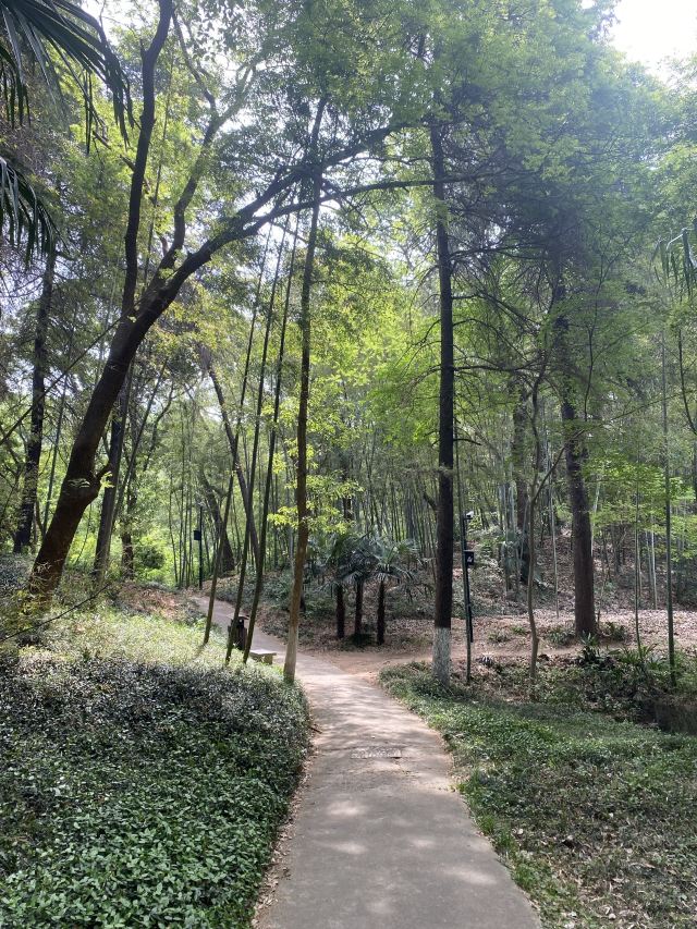 南山风景区旅行图片 1
