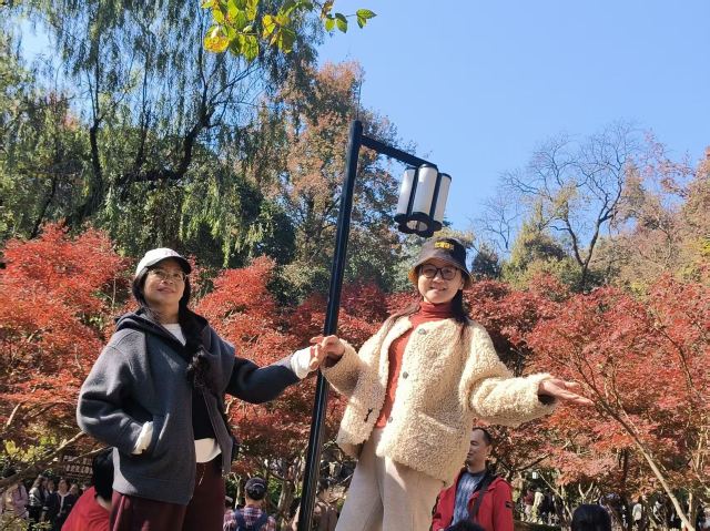 天岳幕阜山森林公园旅行图片 1