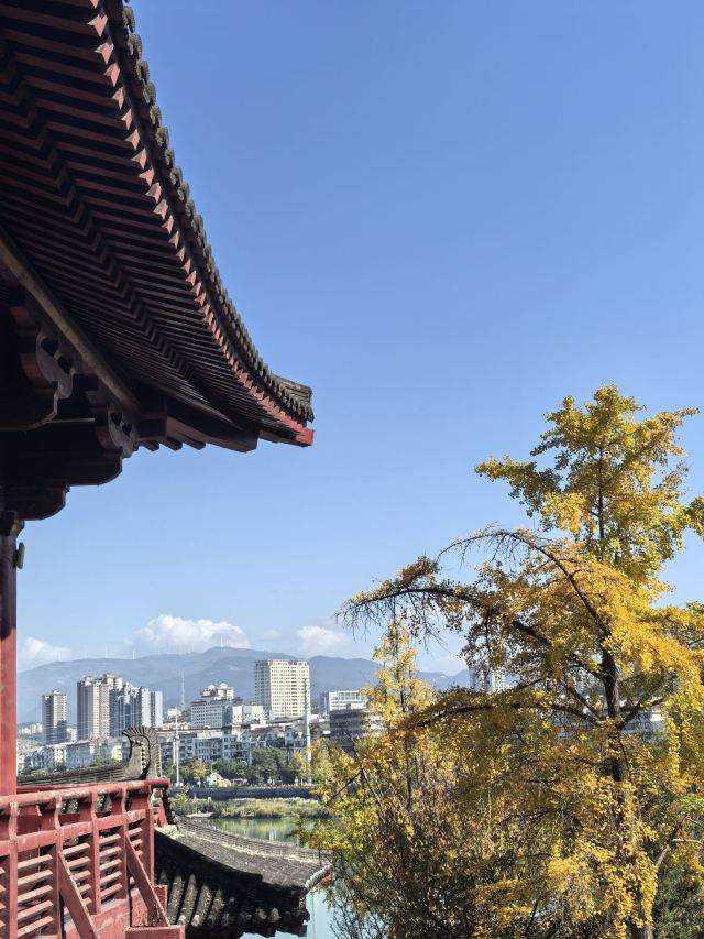 皇泽寺景区旅行图片 3