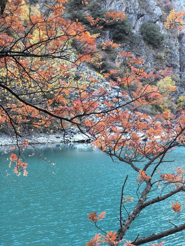 叠溪松坪沟景区旅行图片 6