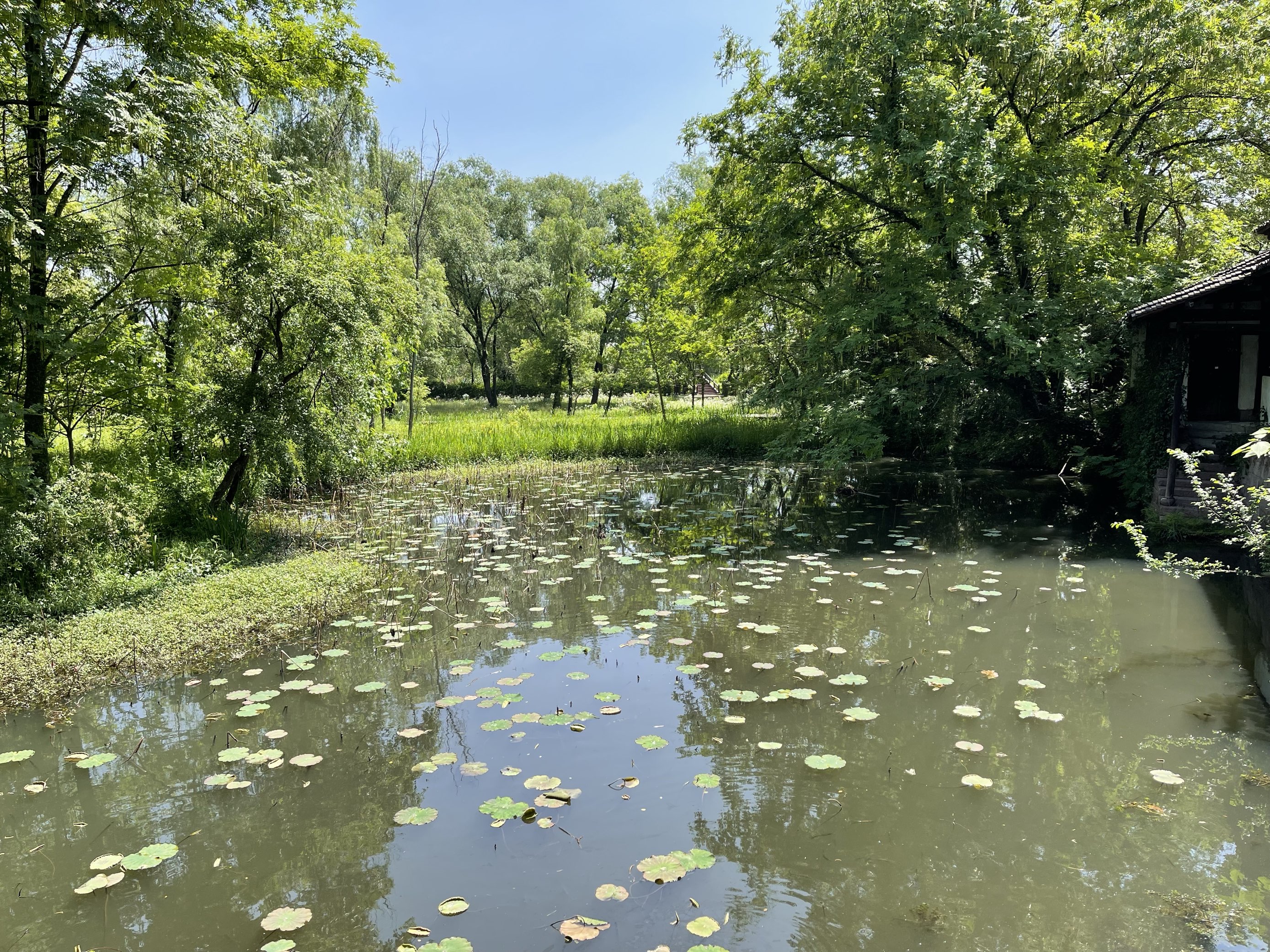 Xixi National Wetland Park