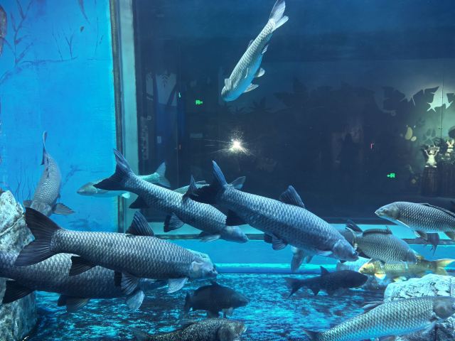 中国·江豚湾旅行图片 2