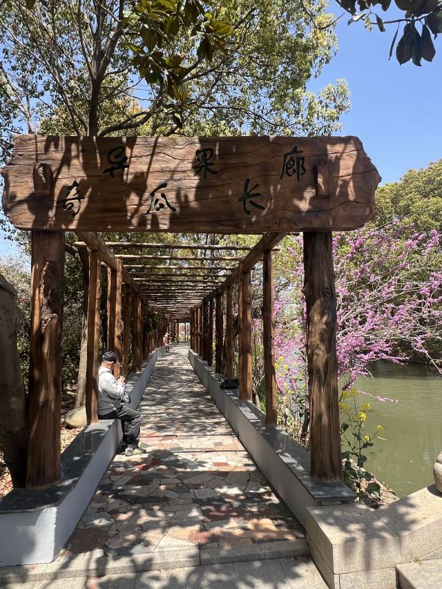 上海南汇桃花村旅行图片 5