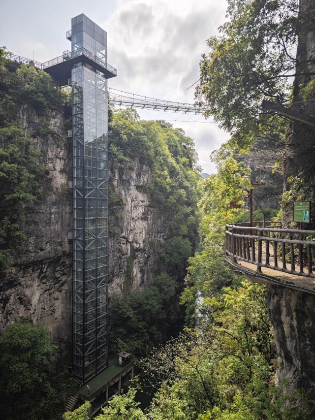 洒金公园旅行图片 7