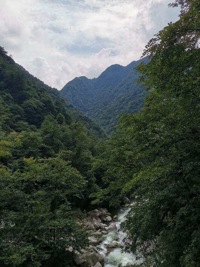 炎陵县神农谷国家森林公园旅行图片 9