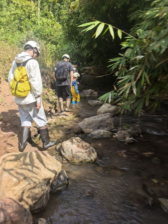 基诺山巴朵村雨林徒步旅行图片 4