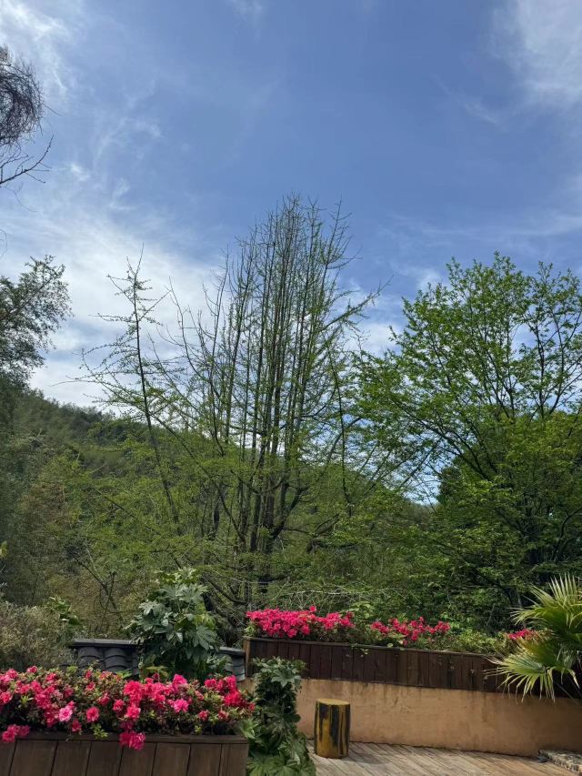 万安高岭宿集风景区旅行图片 2