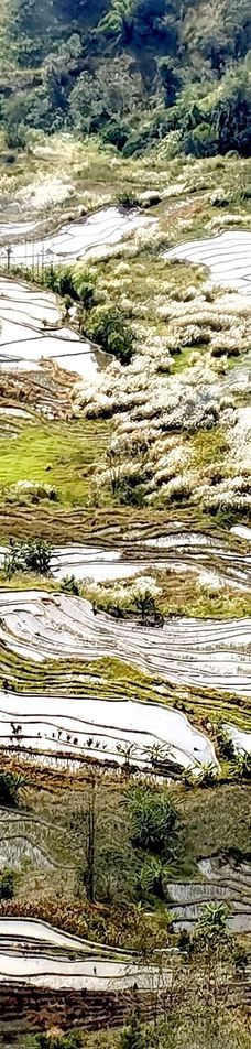 老虎嘴梯田-元阳-YoYo_9O8O5D2S