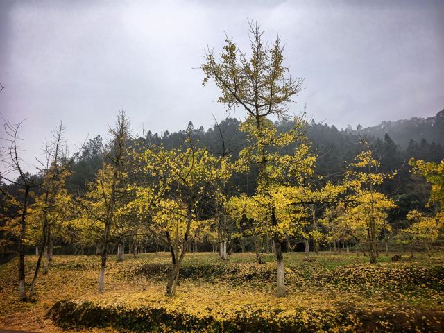 南雄帽子峰旅游景区旅行图片 7
