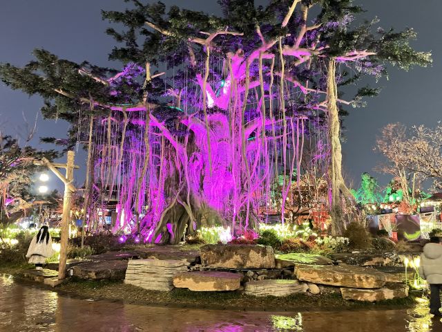 琅琊古城旅行图片 2