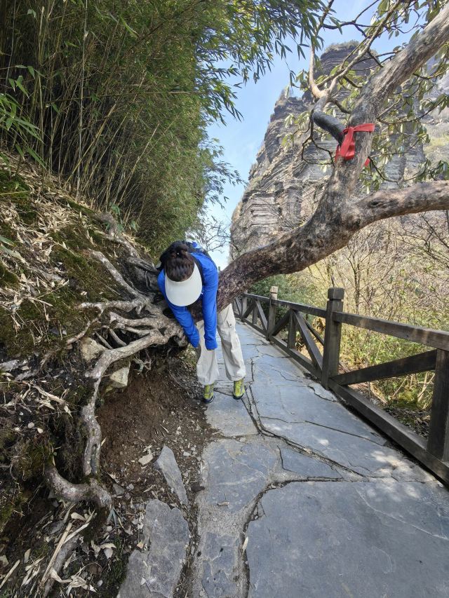 梵净山风景区旅行图片 7