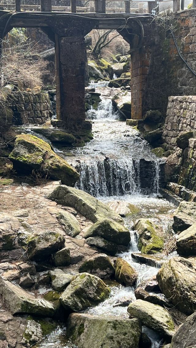 黄山风景区旅行图片 5