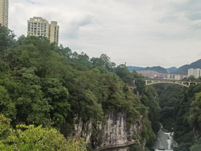 洒金公园旅行图片 6