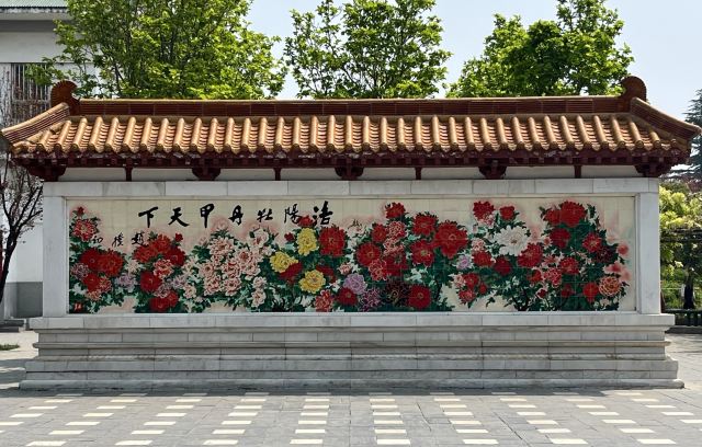 神州牡丹园旅行图片 1