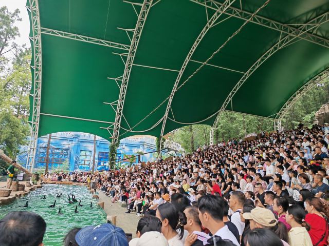 武汉野生动物王国旅行图片 8