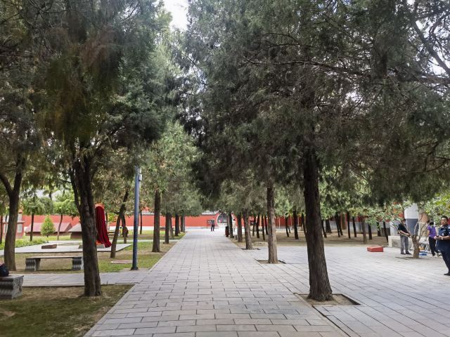 毗卢寺旅行图片 5