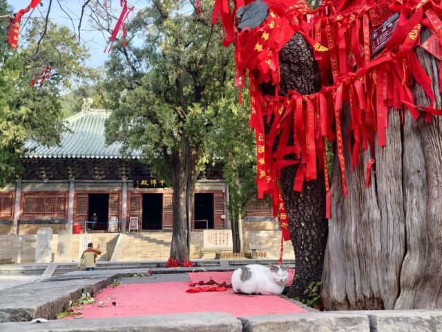 灵岩寺景区旅行图片 1