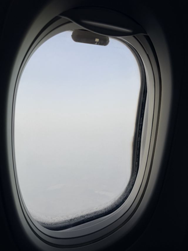 哈尔滨极地公园旅行图片 1