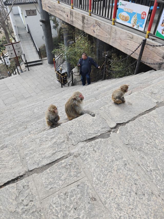 花果山风景区旅行图片 6