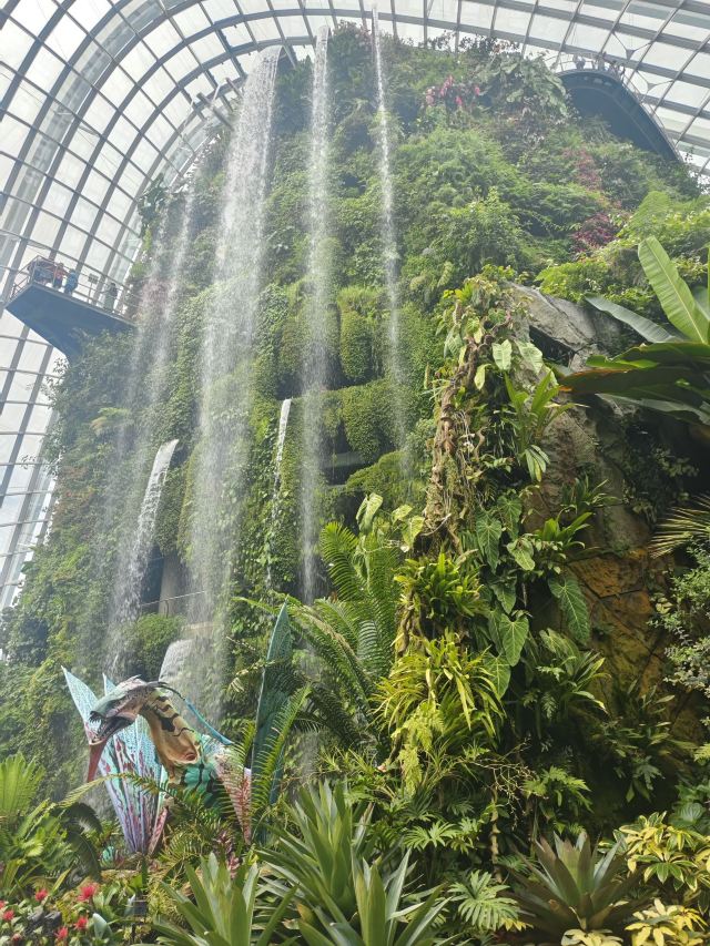 新加坡新加坡滨海湾花园游玩攻略简介,新加坡新加坡滨海湾花园门票/地址/图片/开放时间/照片/门票价格【携程攻略】