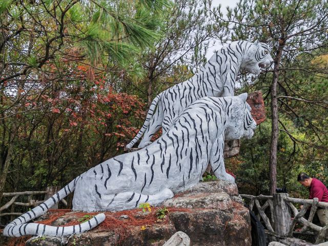 恩施巴人河生态旅游区旅行图片 1