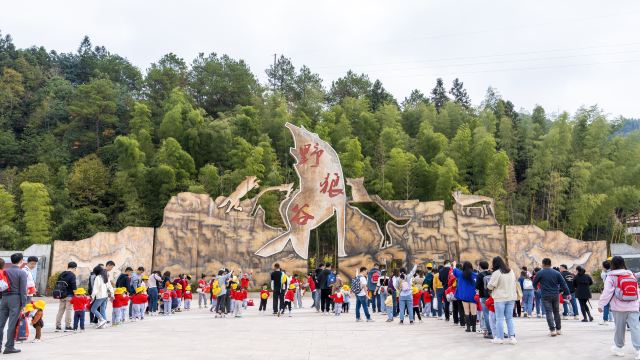 江西野狼谷景区旅行图片 1