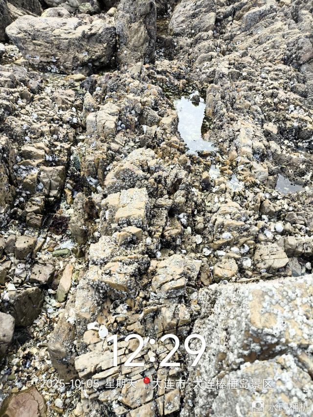 棒棰岛旅行图片 2