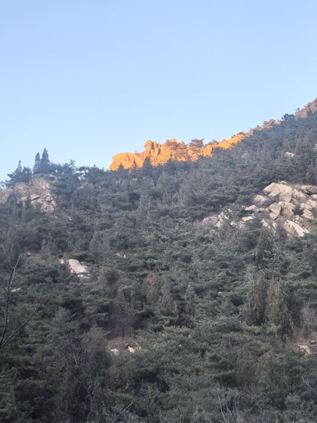 青岛珠山国家森林公园旅行图片 2