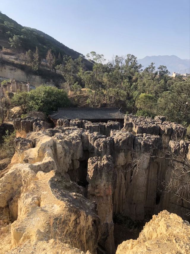 土林旅行图片 9