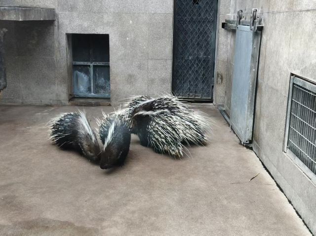 西安秦岭野生动物园旅行图片 4