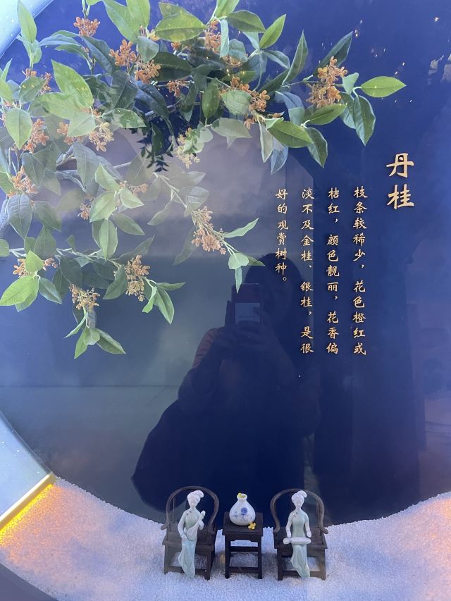 桂花公社景区旅行图片 1
