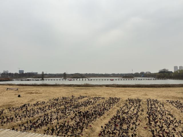 武汉花博汇旅行图片 3