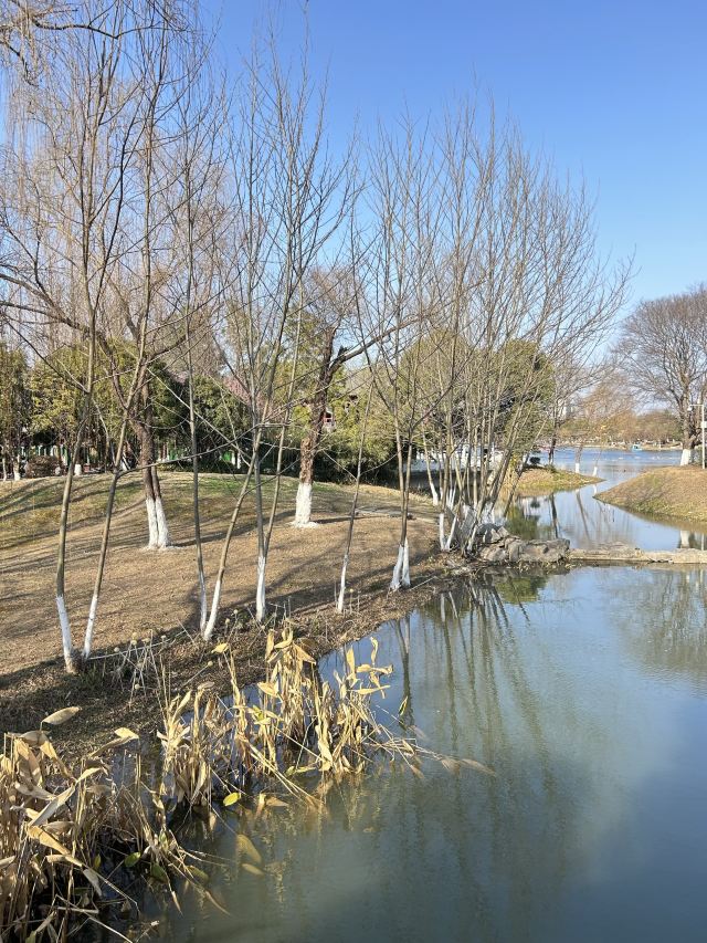 武汉园博园旅行图片 2
