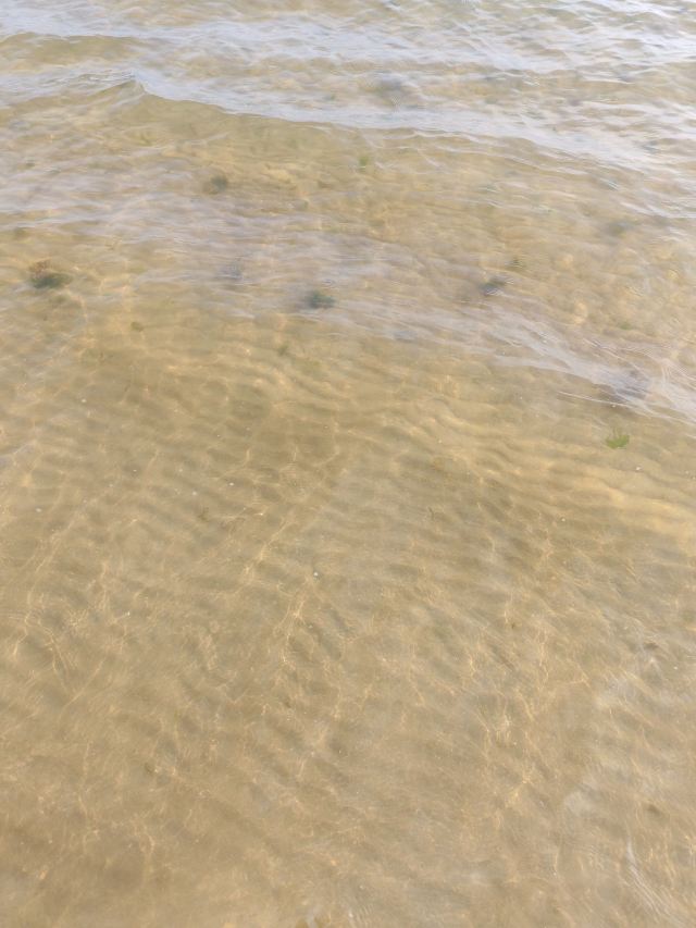 鸽子窝公园旅行图片 6