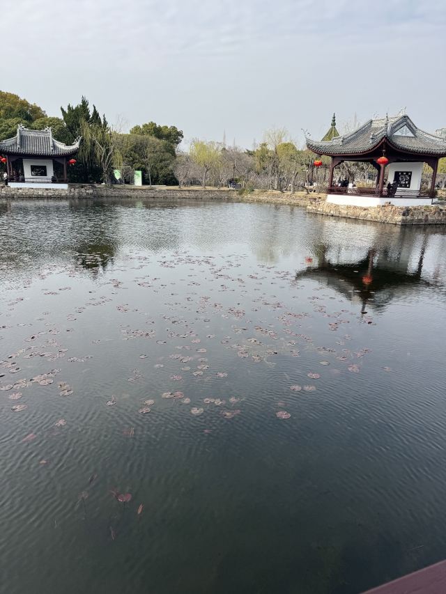 蠡园旅行图片 1