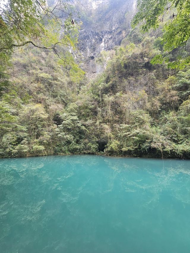 张家界大峡谷旅行图片 1