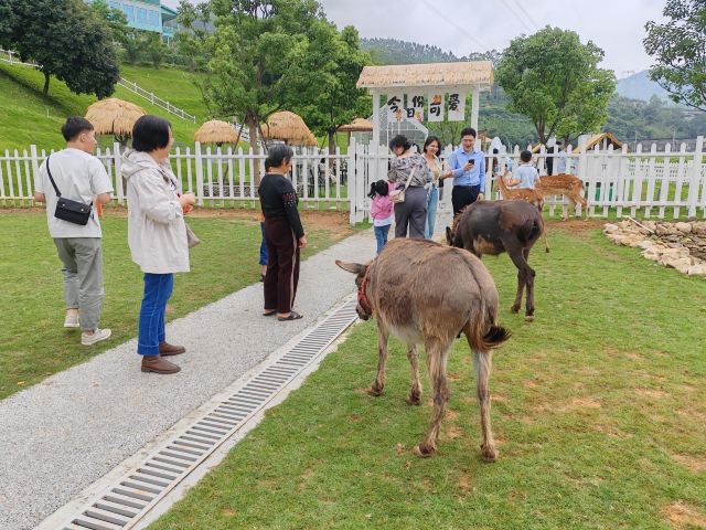 蜗牛村旅行图片 3