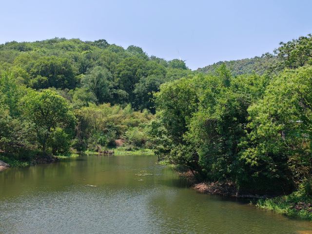 铁山寺国家森林公园旅行图片 1