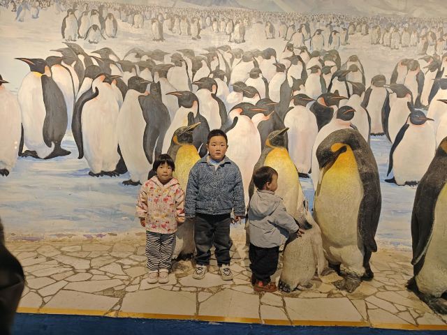 曲江海洋极地公园旅行图片 4