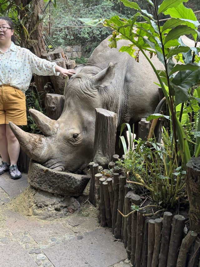 普洱太阳河森林公园旅行图片 1