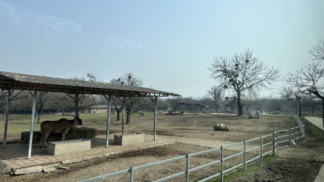 西安秦岭野生动物园旅行图片 2