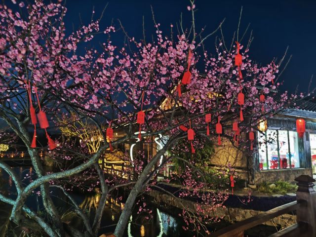 拈花湾·禅意小镇旅行图片 6