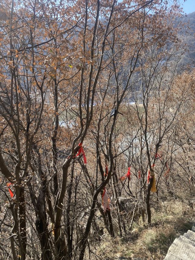 中国秦岭终南山世界地质公园旅行图片 4